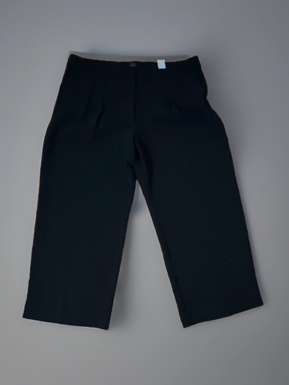 Banana Republic Factory Black Classic Pleated Wide Leg Dress Pants Sz 20
